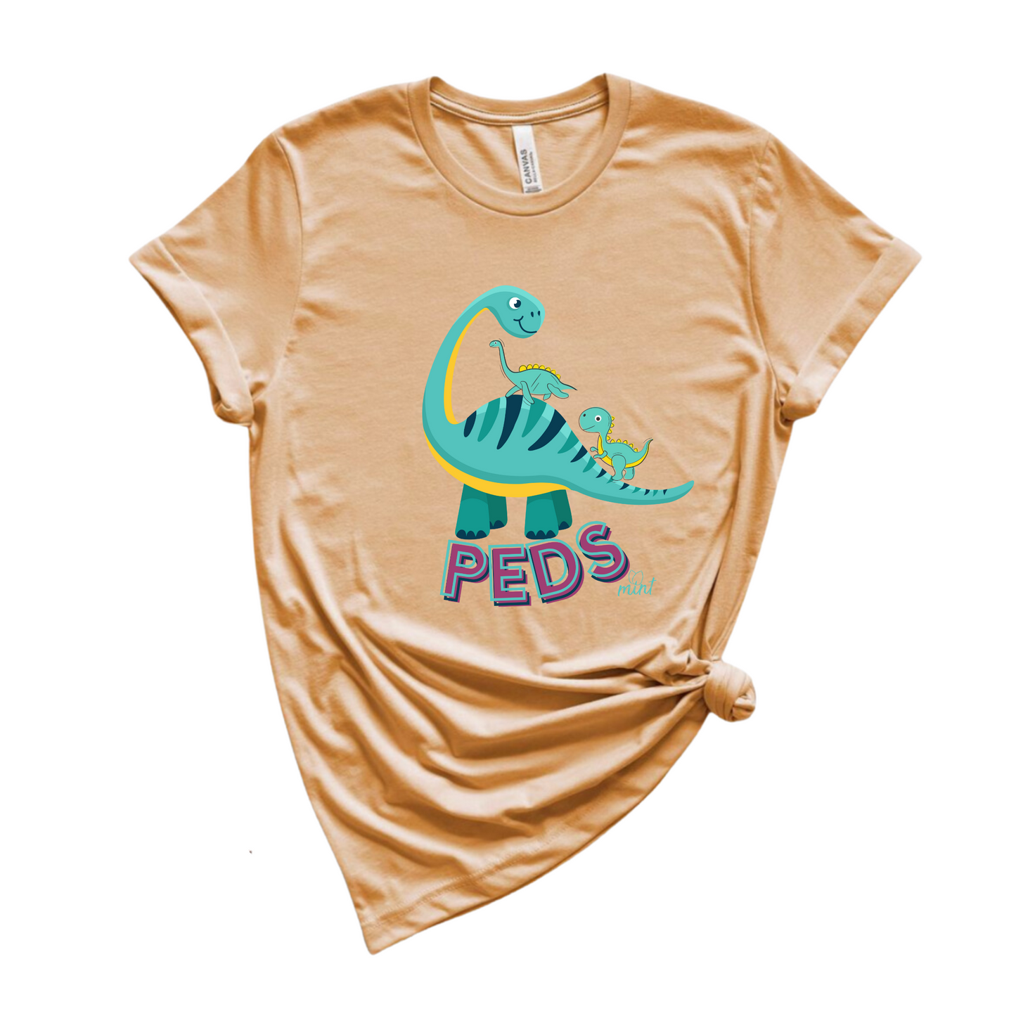 Dinosaur Pediatric T-shirt