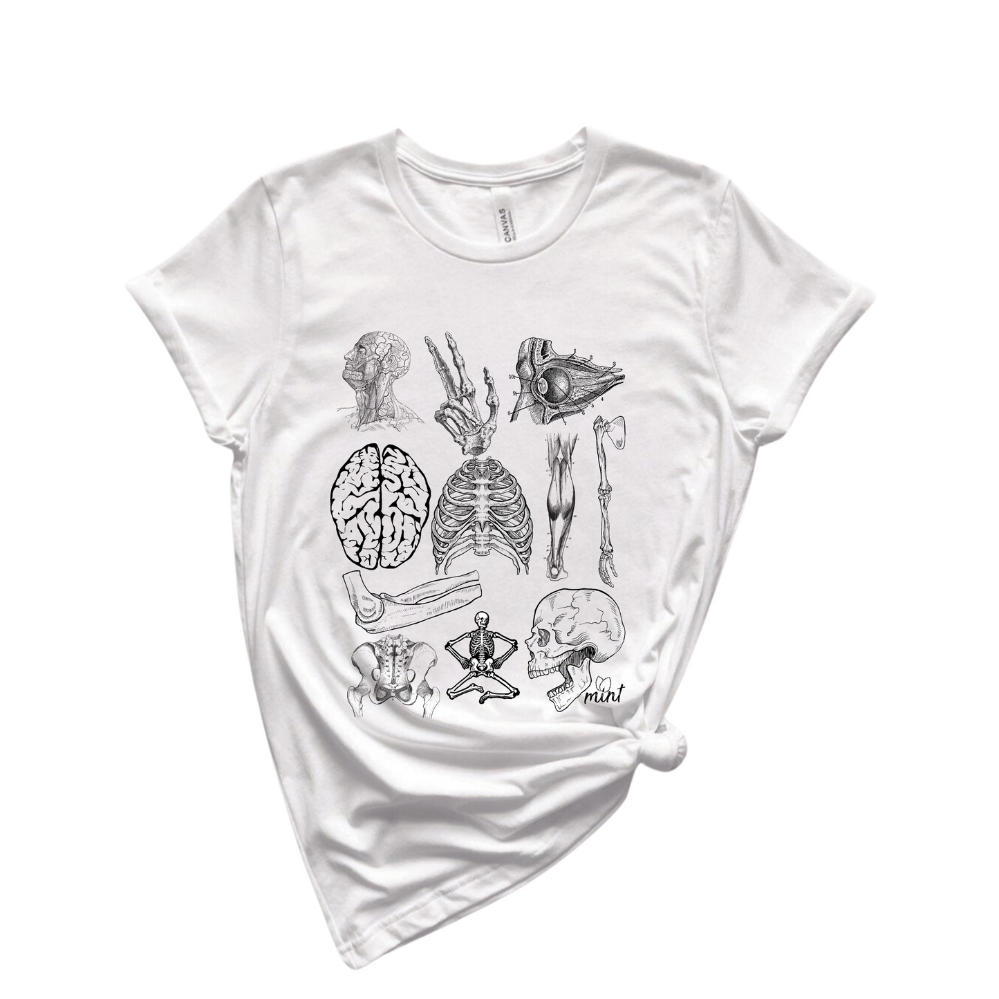 VINTAGE ANATOMY T-SHIRT